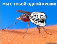 Картинка к материалу: «Как бороться с комарами: 8 убийственных ароматов»